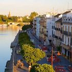 TRIANA